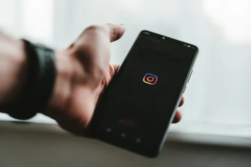 rechtenvrije afbeelding seeders instagram