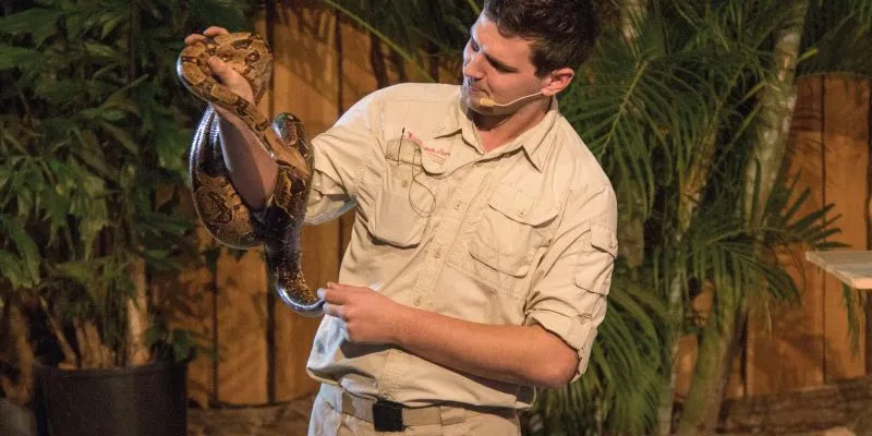 reptielen in het jungletheater