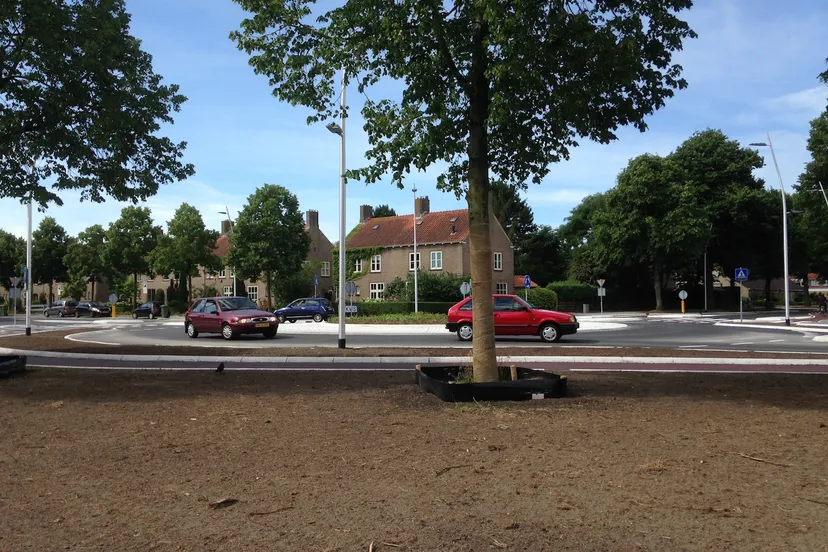rotonde moerasandijviestraat