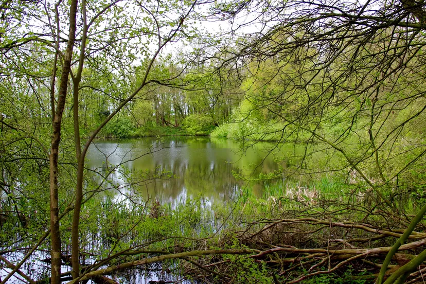 rotterdamse hoek het flevo landschap