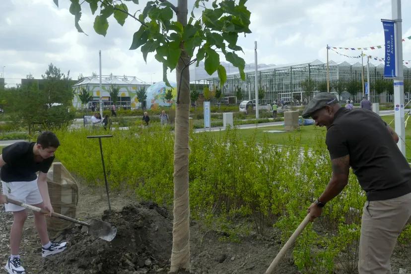 roue verveer en luca planten een boom bij floriade