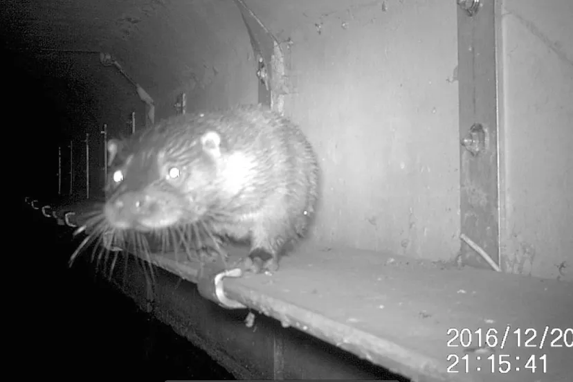 schermafbeelding 2017 02 15 om 21 22 35 orig