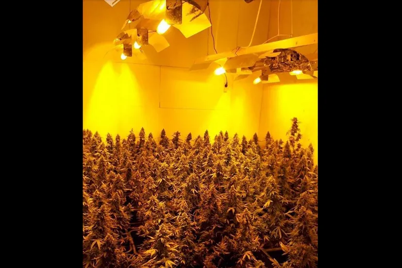 schermafbeelding 2018 02 17 om 175419