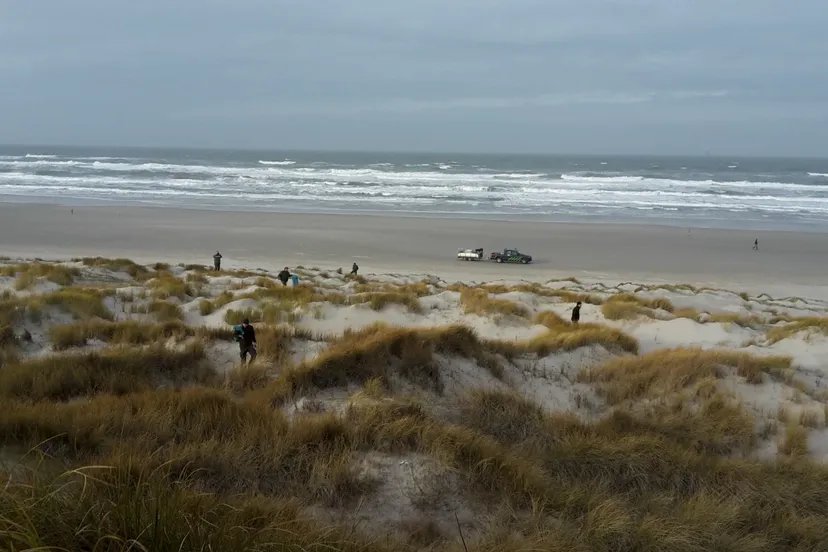 schermafbeelding 2019 01 15 om 151611