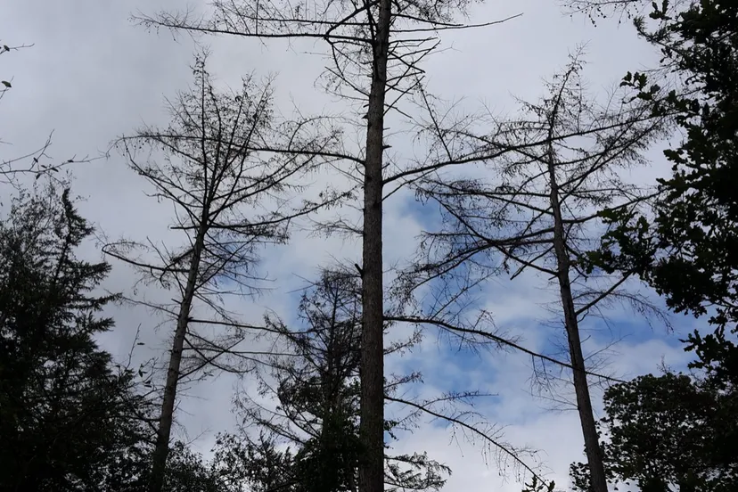 schermafbeelding 2019 08 16 om 134825