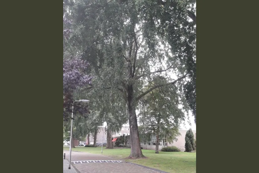 schermafbeelding 2019 09 27 om 134924