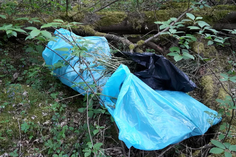 schermafbeelding 2020 04 28 om 135623