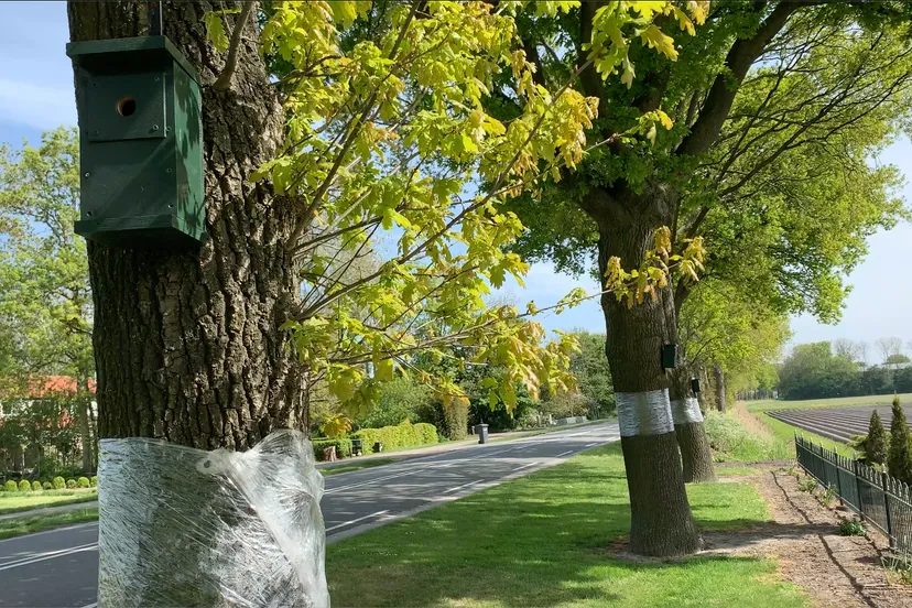 schermafbeelding 2020 05 11 om 104714