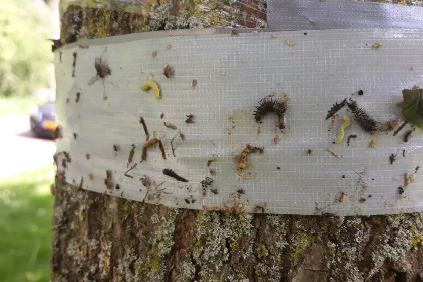 schermafbeelding 2020 05 14 om 132319