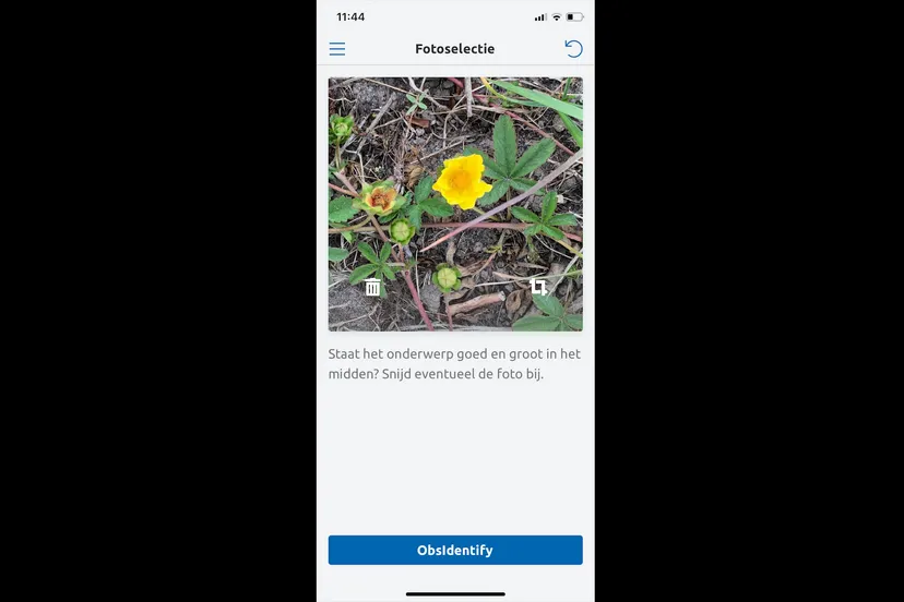 schermafbeelding 2020 06 12 om 114622