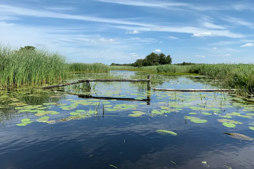 schermafbeelding 2020 08 13 om 133222