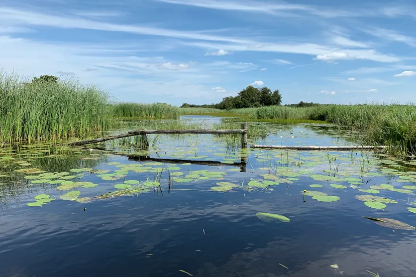 schermafbeelding 2020 08 13 om 133222