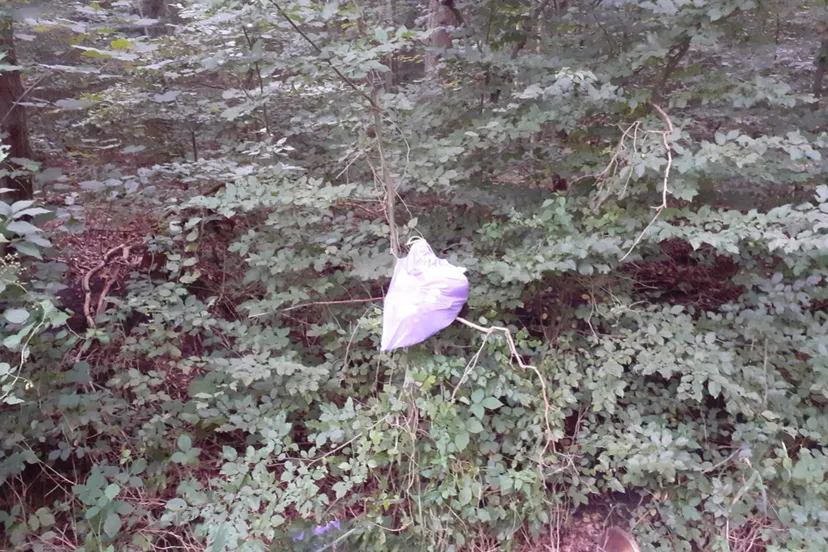 schermafbeelding 2020 08 16 om 170935