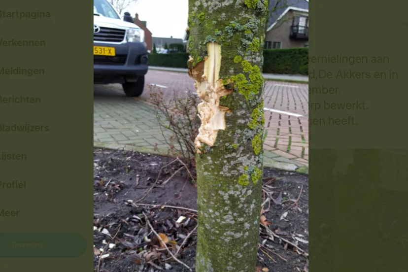 schermafbeelding 2020 12 29 om 185720