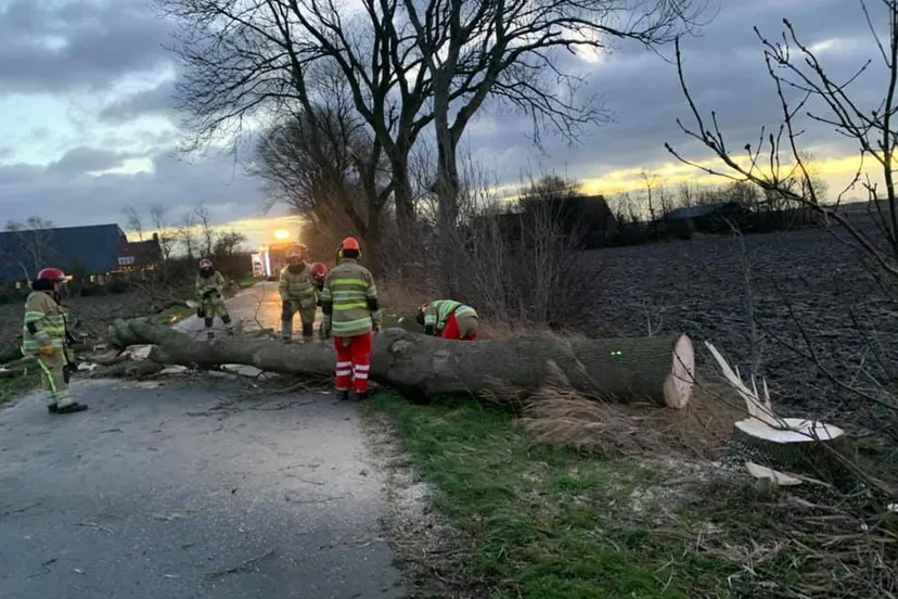 schermafbeelding 2021 01 21 om 154331