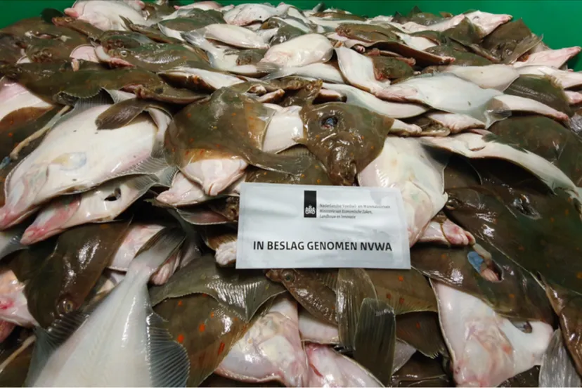 schermafbeelding 2021 09 16 om 200727