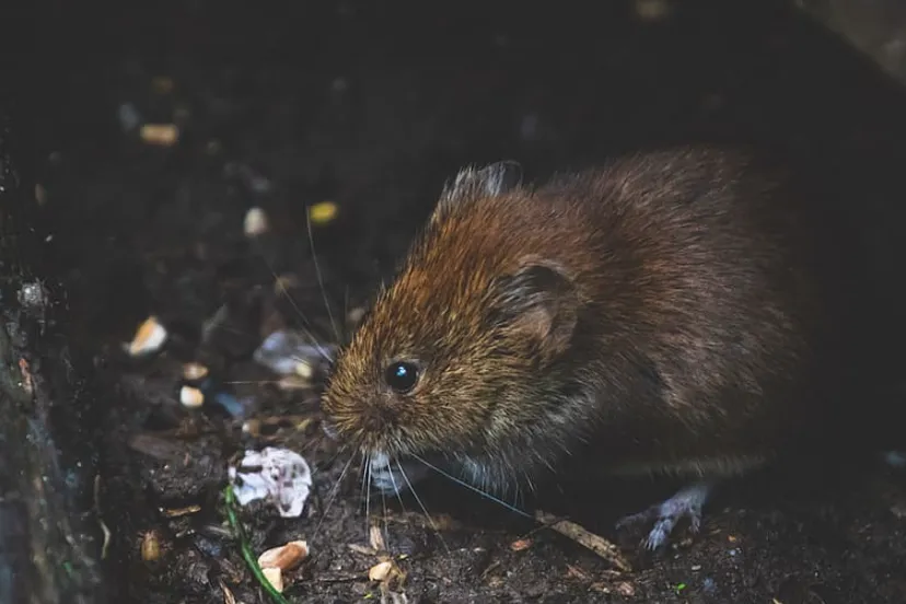 schermafbeelding 2022 09 15 om 144928