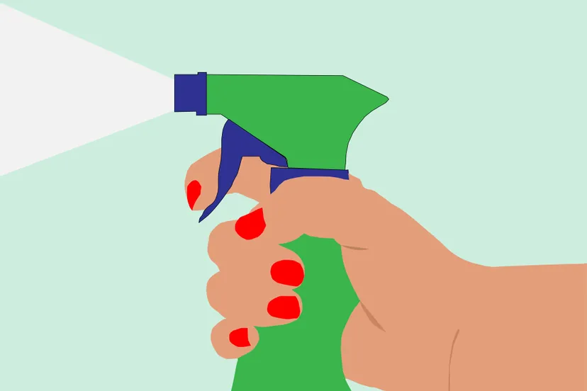 schoonmaken cc by publicdomainpicturesnet