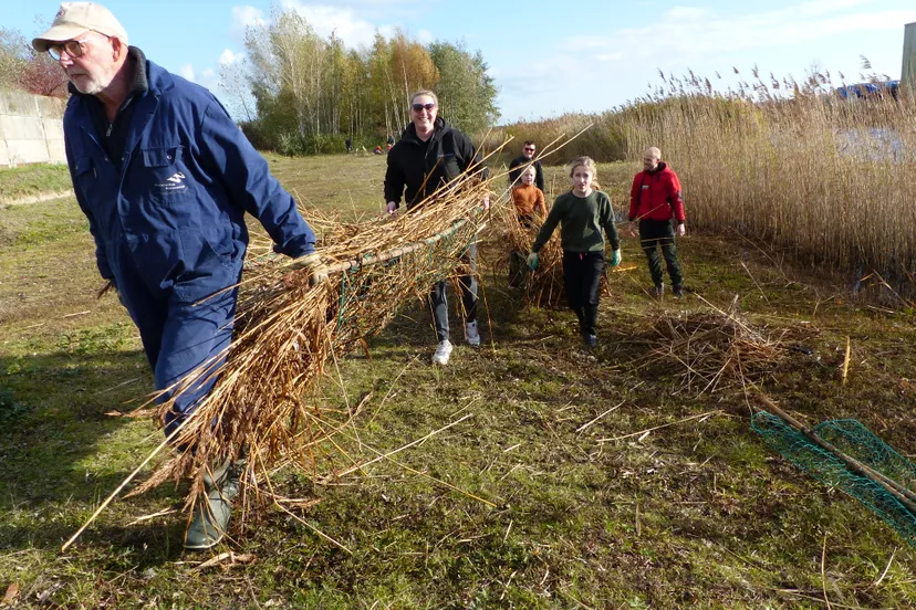 sjouwen met riet