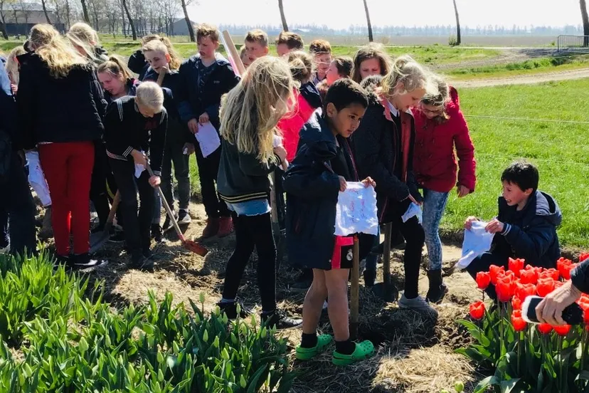 soilyourundies 360cae7e 386e 403c b5b1 50339c5ffe6f e1555524196298