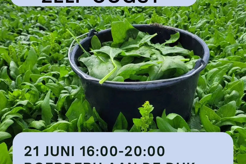 spinazie boerderij aan de dijk