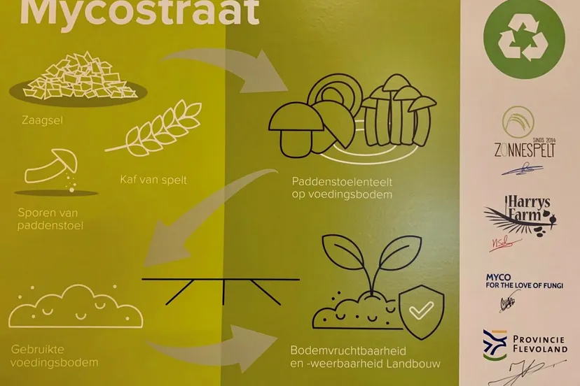 tekenbord mycostraat