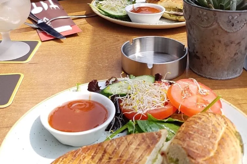 terras 94cfa2d5 ddc0 47e5 a15c fa058d83f766 kopie