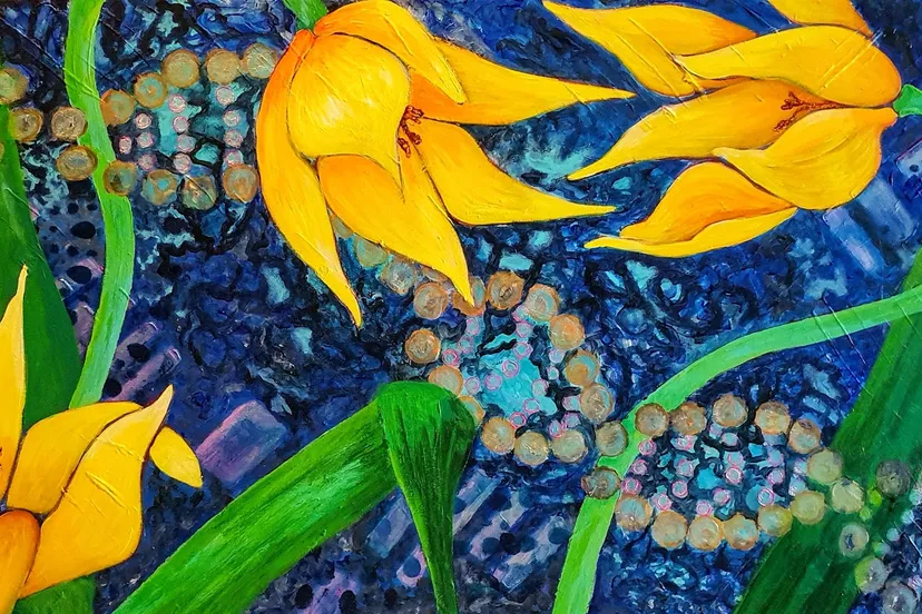 tulipa sylvestris mirriam bouwmeester