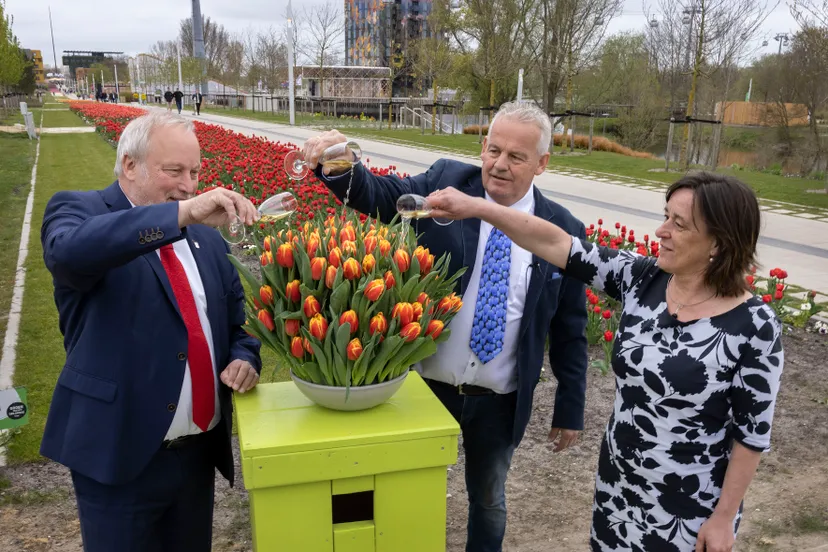 tulpendoop floriade 5940 c fotostudiowierd