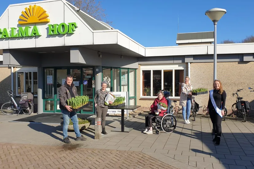 tulpenpracht bij de talma hof