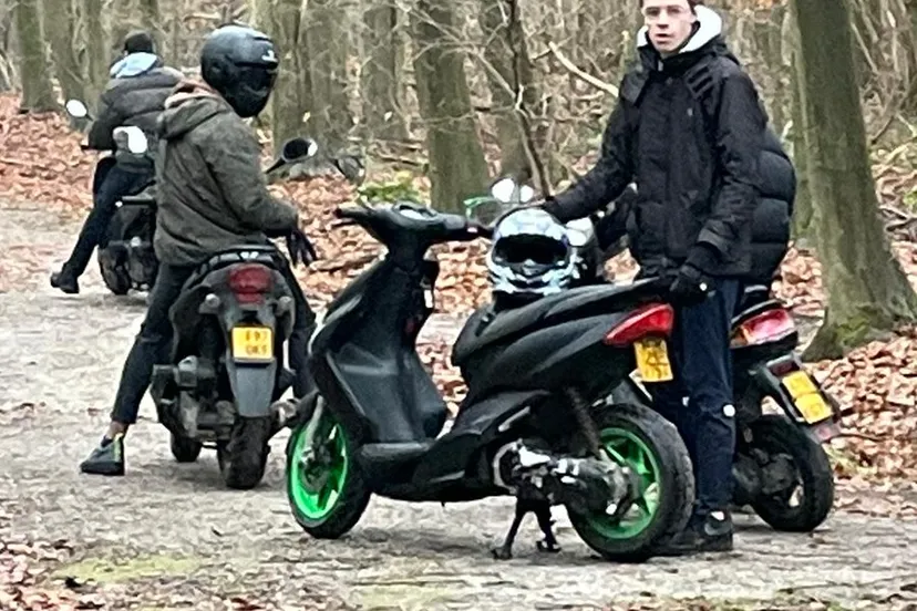 twitter harco bergman