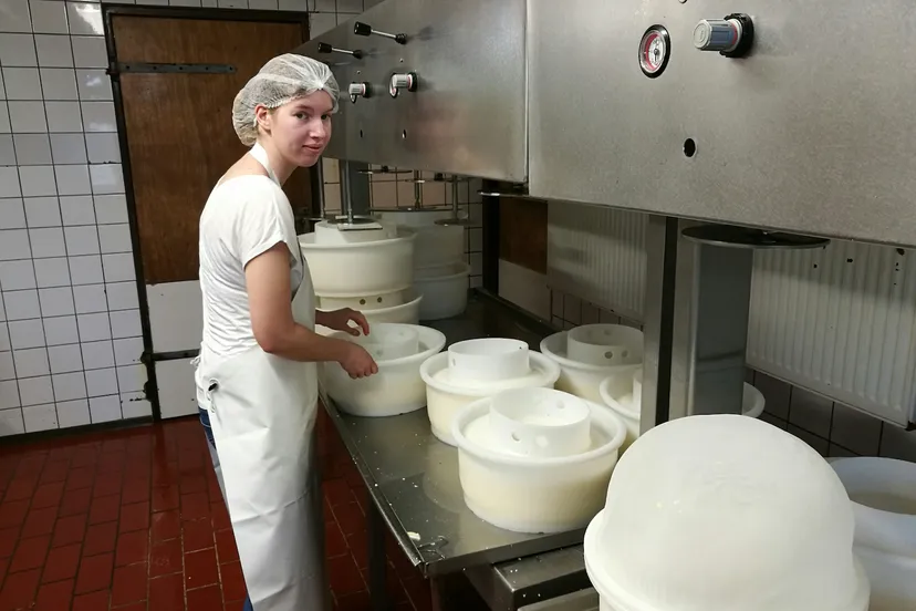 verena in de kaasmakerij 1