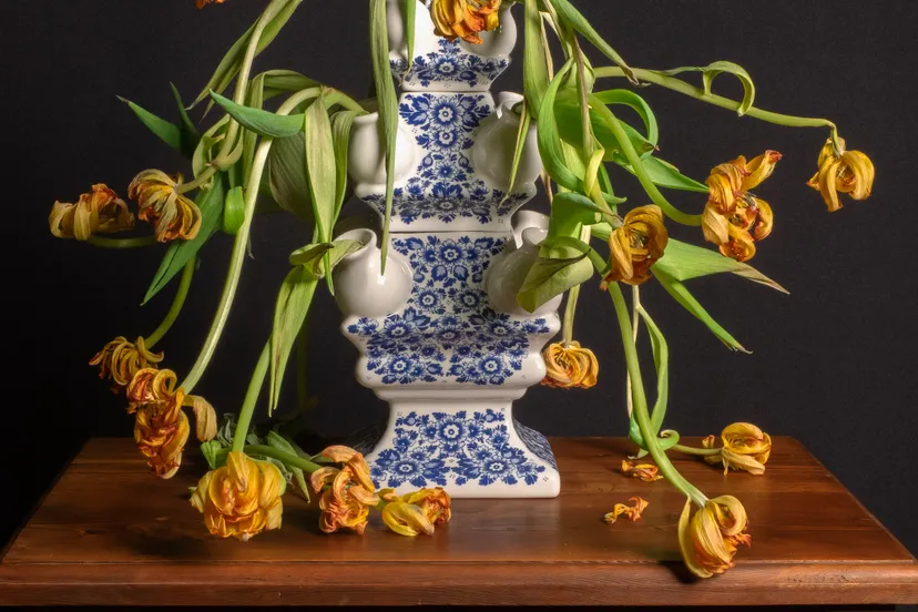 vergane glorie foto alice valk