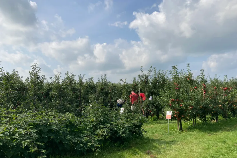 vink plukweekend 2021 img 7019
