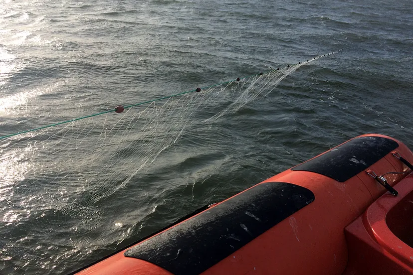 visstroperij copright nvwa