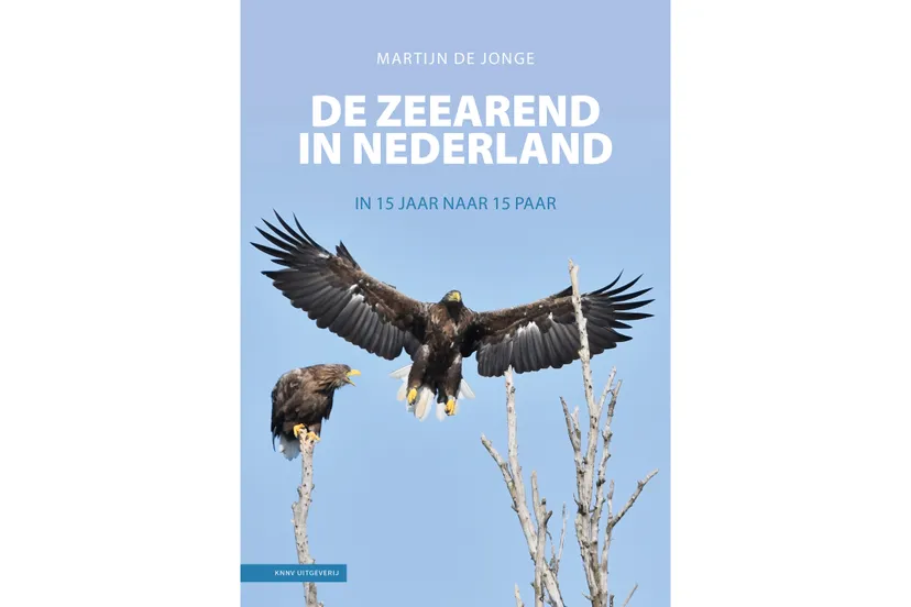 voorplaat zeearend in nederland 2