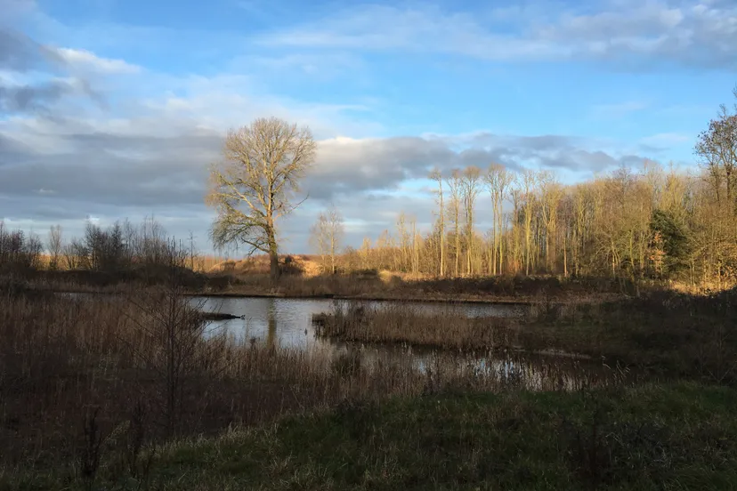 voorsterbos 2019 img 1723