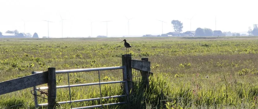 wnf 36b78f14 6aa2 4b91 a1fd 2d59c7a98d0c