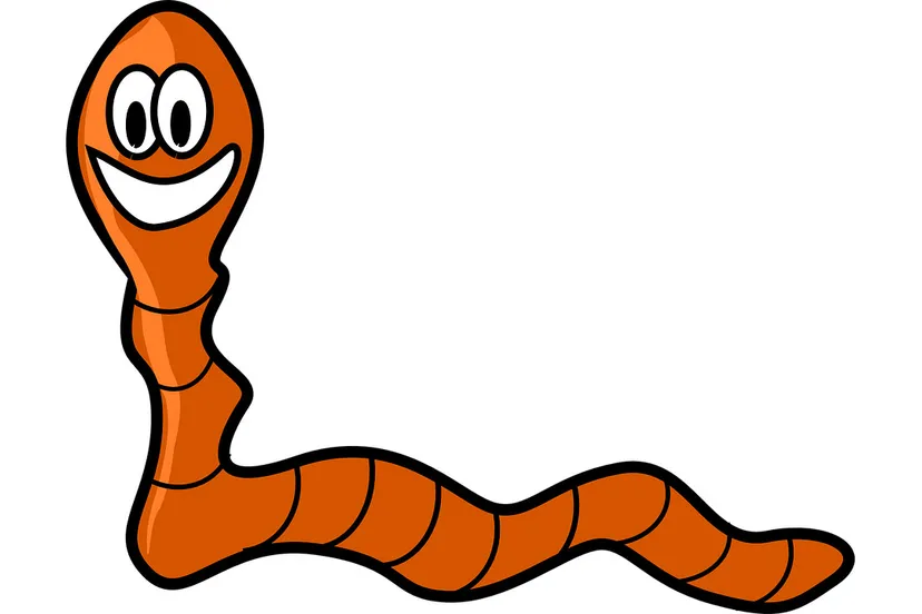 worm cc by pixabaycom