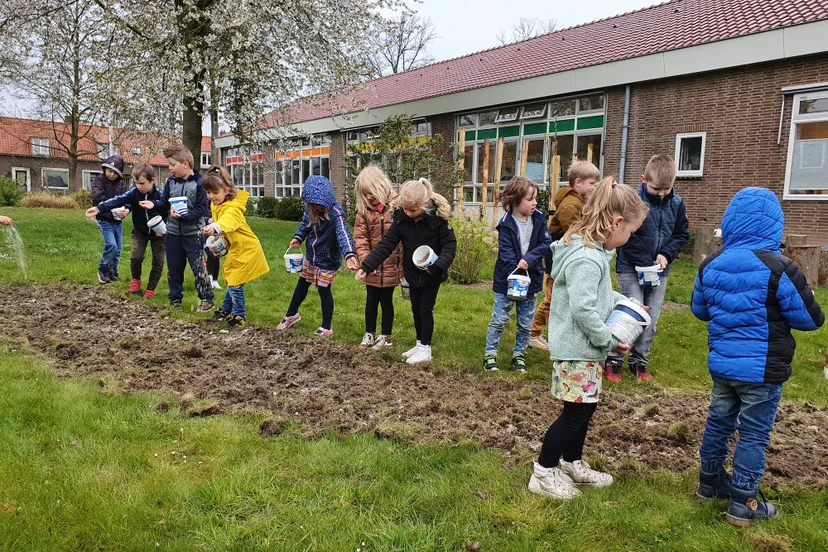 zaaien bloemenstrook