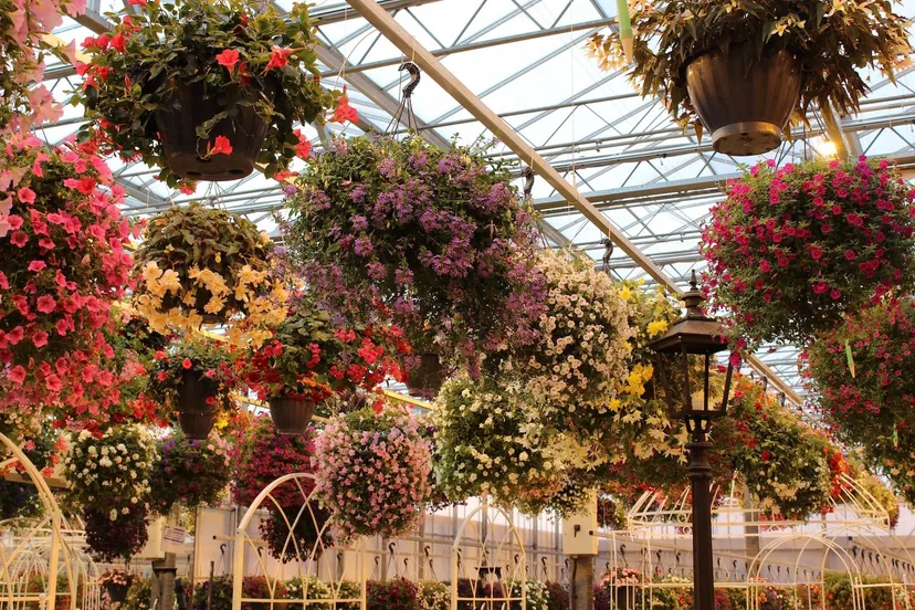 zwevende tuin mhpublicatiesnl