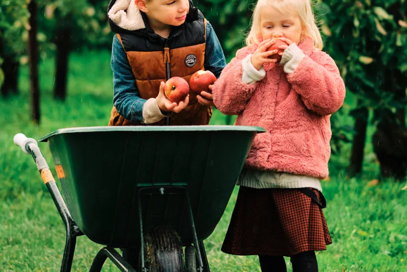 24 10 23 herfstshoot no polder schokker fotografie 1604 4500px