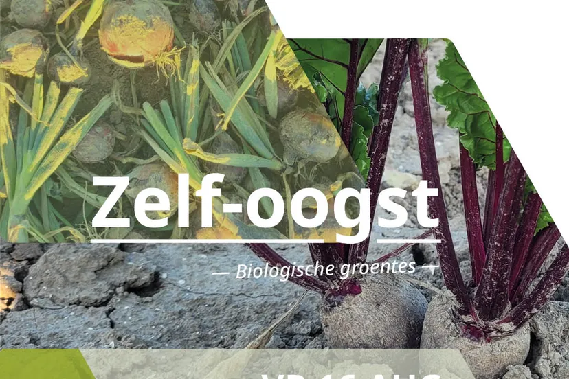 instagram post zelfoogst 16aug 2024