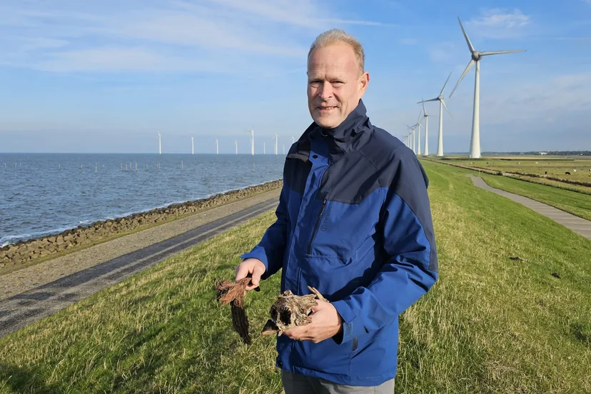 20250113 hip schatten in de bodem