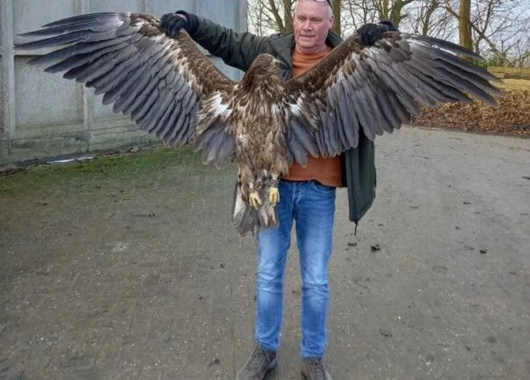 8aa57487 72ba 4cd2 88e1 732442e1487d