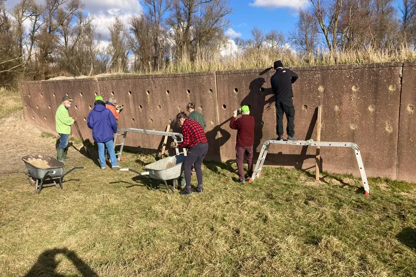 20250313 oeverzwaluw 01