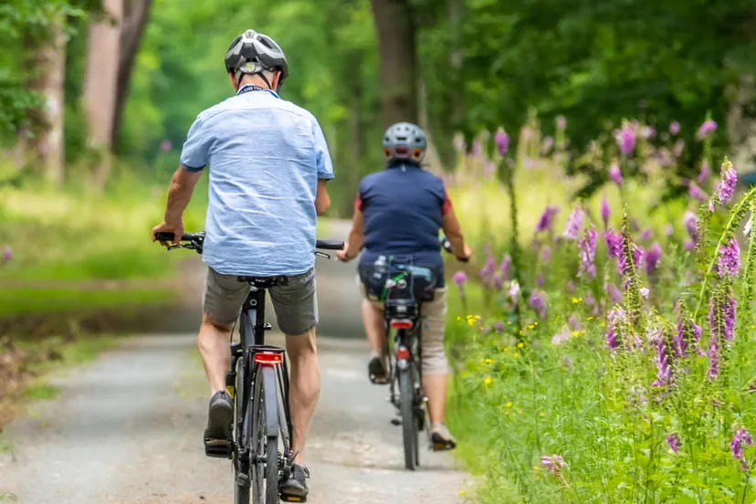 digitaal de zomer door fiets en wandelapps