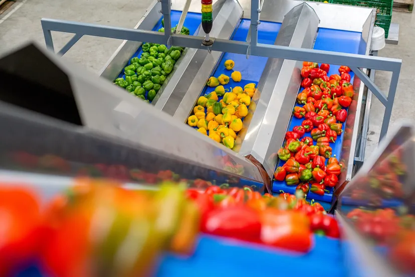 productiehal hires 75 van 147