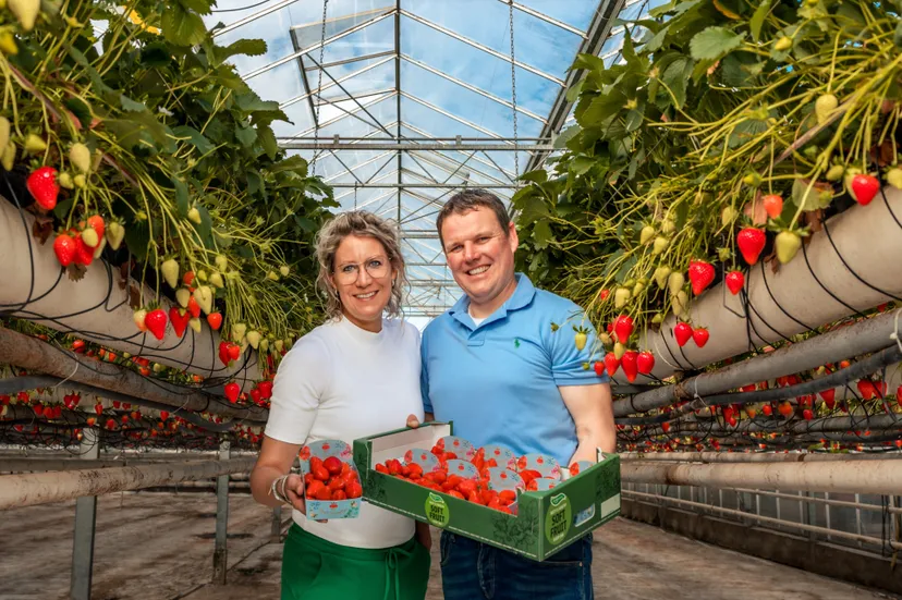 schwering aardbeien kik 2025