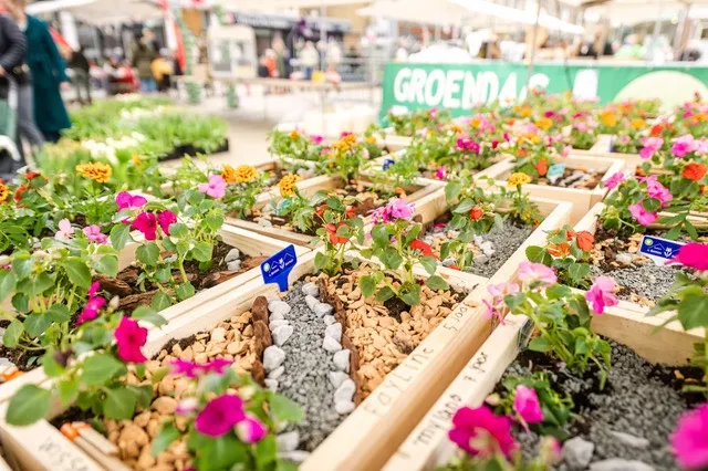 20230415 step groendag web sjors evers 77